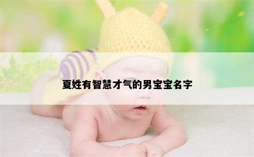 夏姓有智慧才气的男宝宝名字