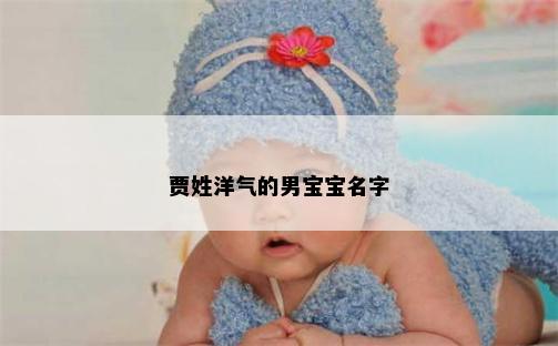 贾姓洋气的男宝宝名字