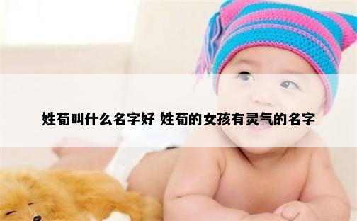 姓荀叫什么名字好 姓荀的女孩有灵气的名字