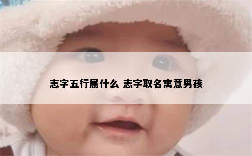 志字五行属什么 志字取名寓意男孩