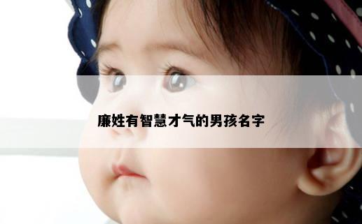 廉姓有智慧才气的男孩名字