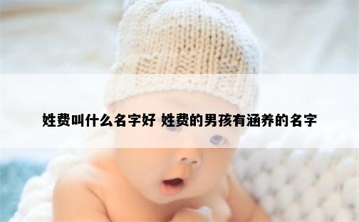 姓费叫什么名字好 姓费的男孩有涵养的名字
