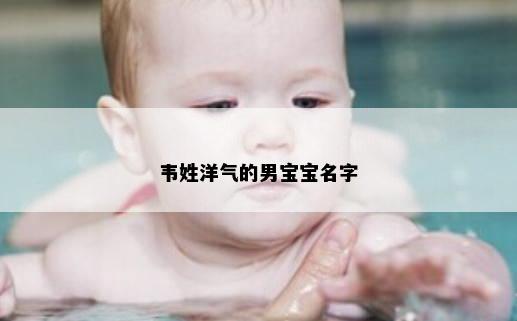 韦姓洋气的男宝宝名字