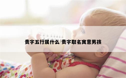 贵字五行属什么 贵字取名寓意男孩