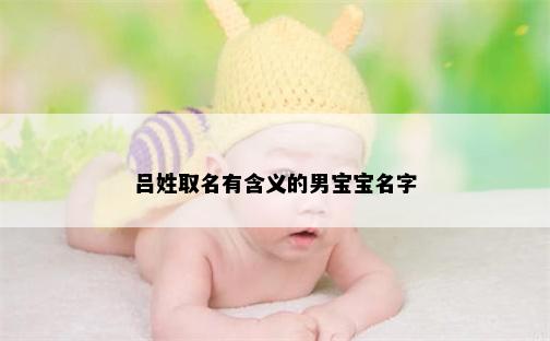 吕姓取名有含义的男宝宝名字