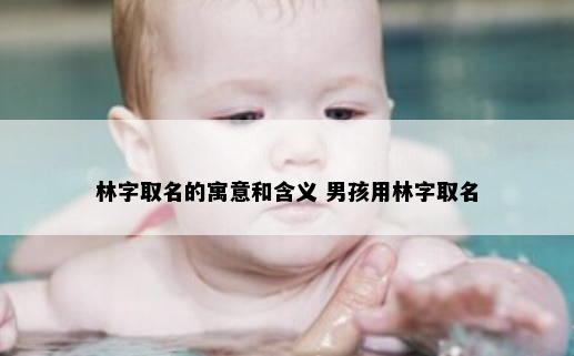 林字取名的寓意和含义 男孩用林字取名