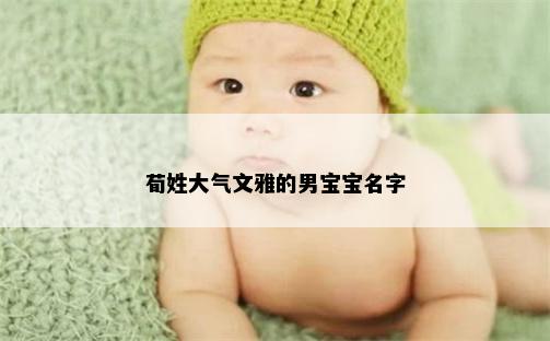 荀姓大气文雅的男宝宝名字