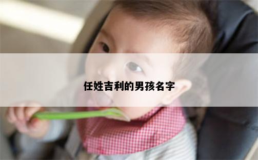 任姓吉利的男孩名字