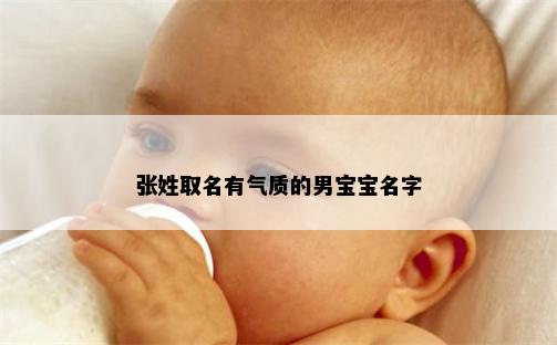 张姓取名有气质的男宝宝名字
