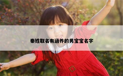 秦姓取名有涵养的男宝宝名字