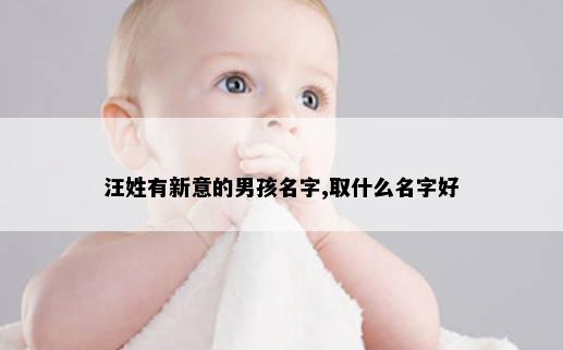 汪姓有新意的男孩名字,取什么名字好