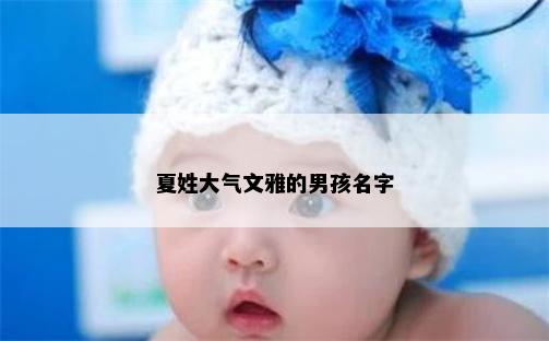夏姓大气文雅的男孩名字