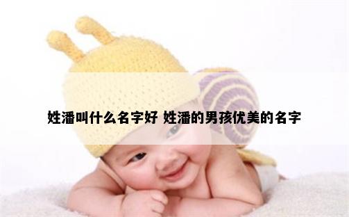 姓潘叫什么名字好 姓潘的男孩优美的名字