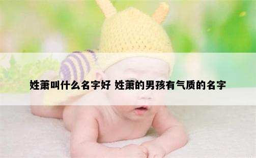 姓萧叫什么名字好 姓萧的男孩有气质的名字