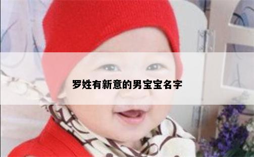 罗姓有新意的男宝宝名字