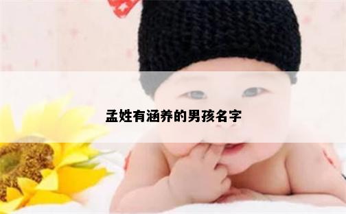 孟姓有涵养的男孩名字