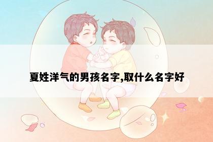 夏姓洋气的男孩名字,取什么名字好