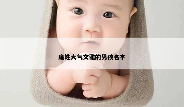 廉姓大气文雅的男孩名字