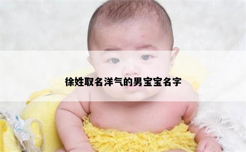 徐姓取名洋气的男宝宝名字