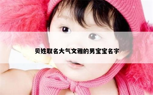 贝姓取名大气文雅的男宝宝名字