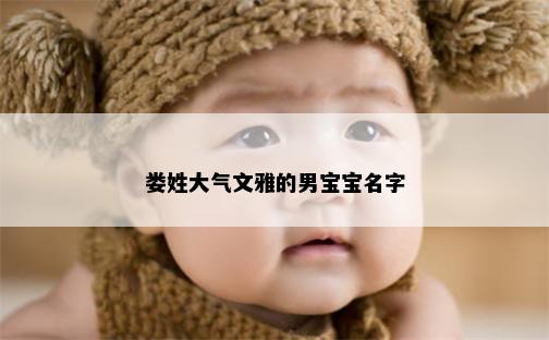 娄姓大气文雅的男宝宝名字