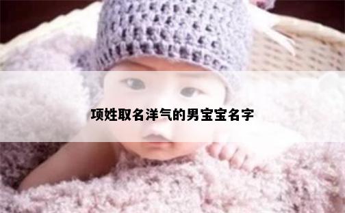 项姓取名洋气的男宝宝名字