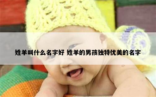 姓羊叫什么名字好 姓羊的男孩独特优美的名字