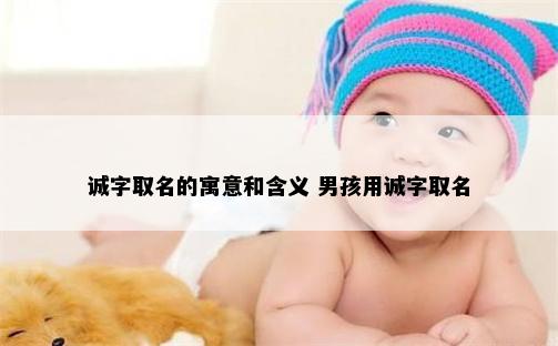 诚字取名的寓意和含义 男孩用诚字取名