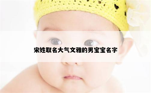 宋姓取名大气文雅的男宝宝名字