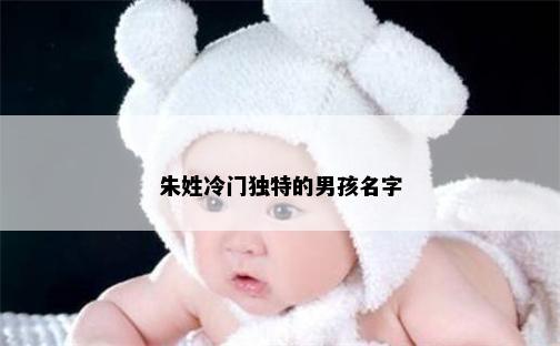 朱姓冷门独特的男孩名字