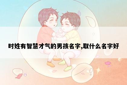 时姓有智慧才气的男孩名字,取什么名字好