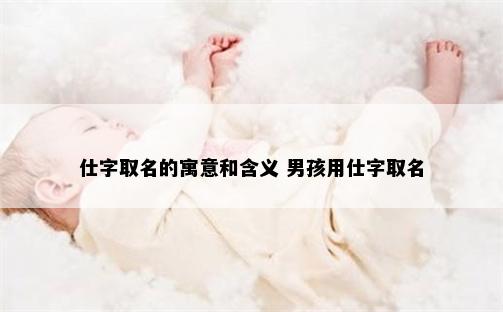 仕字取名的寓意和含义 男孩用仕字取名