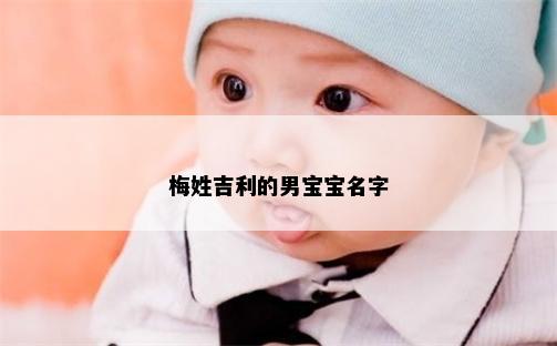 梅姓吉利的男宝宝名字