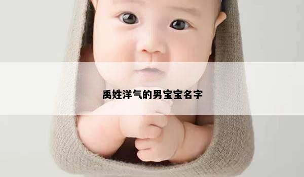 禹姓洋气的男宝宝名字