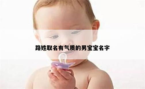 路姓取名有气质的男宝宝名字