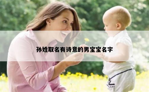 孙姓取名有诗意的男宝宝名字