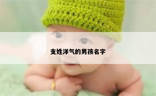支姓洋气的男孩名字