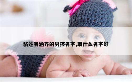 骆姓有涵养的男孩名字,取什么名字好