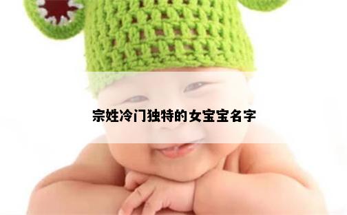 宗姓冷门独特的女宝宝名字