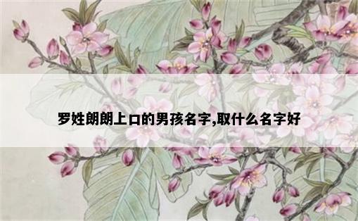罗姓朗朗上口的男孩名字,取什么名字好