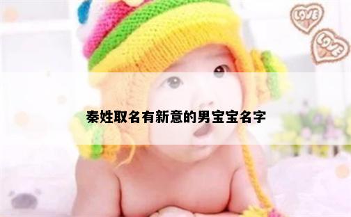 秦姓取名有新意的男宝宝名字