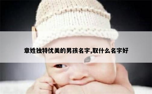 章姓独特优美的男孩名字,取什么名字好