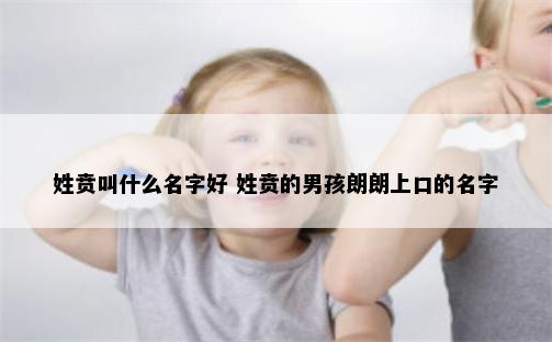 姓贲叫什么名字好 姓贲的男孩朗朗上口的名字