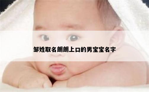 邹姓取名朗朗上口的男宝宝名字