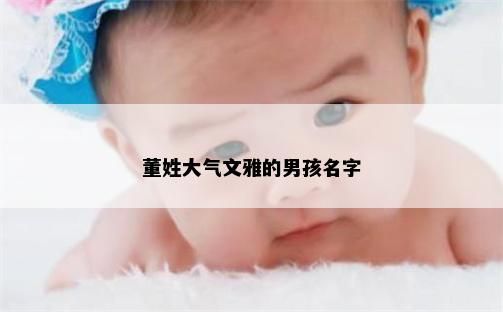 董姓大气文雅的男孩名字