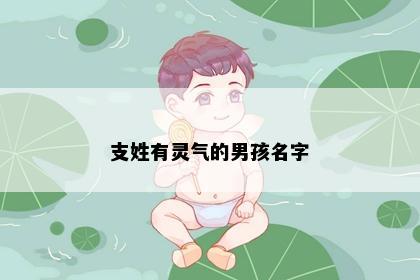 支姓有灵气的男孩名字