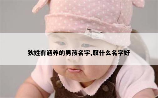 狄姓有涵养的男孩名字,取什么名字好