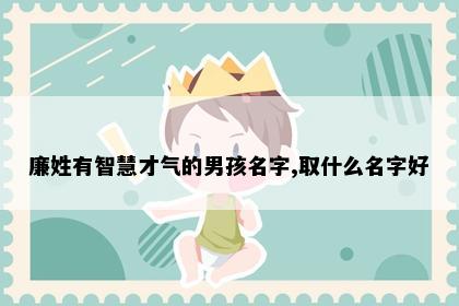 廉姓有智慧才气的男孩名字,取什么名字好