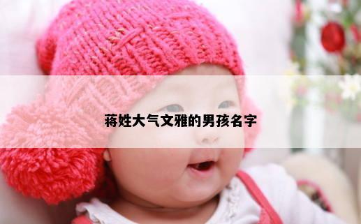 蒋姓大气文雅的男孩名字