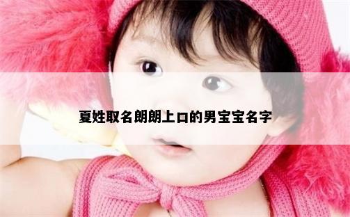 夏姓取名朗朗上口的男宝宝名字